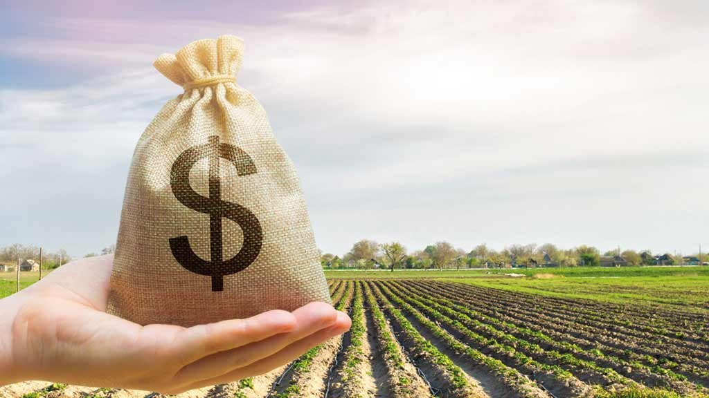 Mantida a isenção dos rendimentos dos FIIs e Fiagros: menos tensão entre agro e governo (Crédito: Istockphoto)
