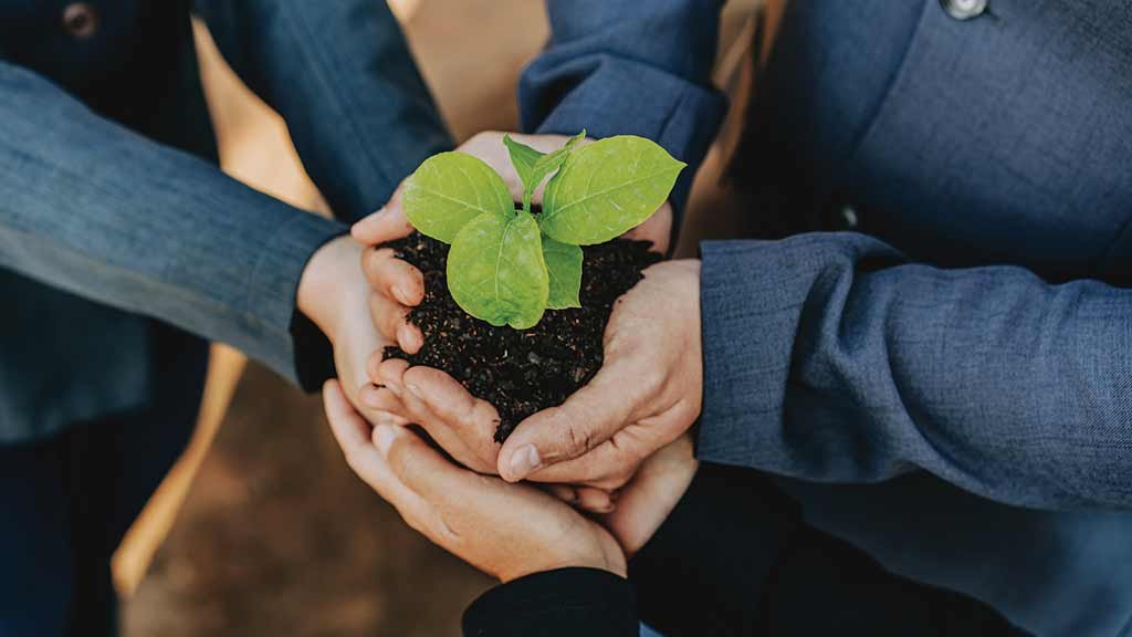 O plano verde da economia