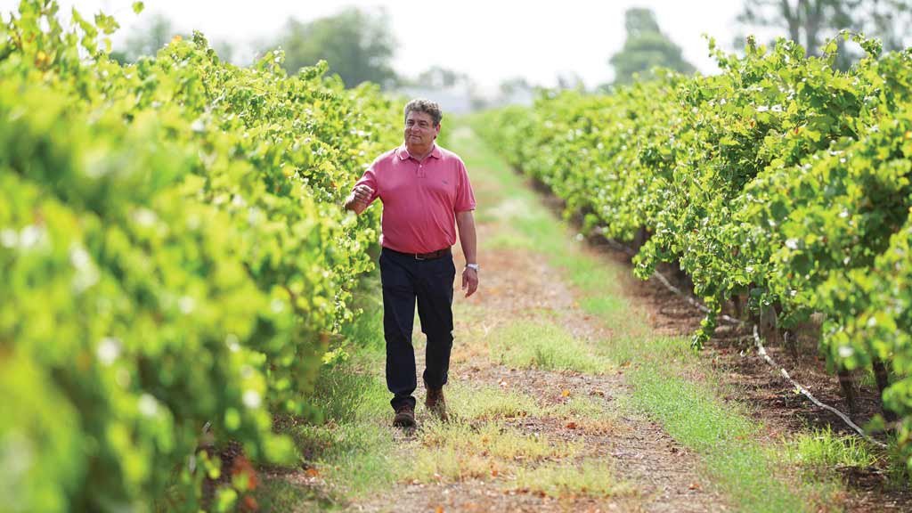 O produtor John Casella em um dos vinhedos de sua propriedade e (abaixo) duas variedades do vinho que se tornou um sucesso no mercado dos EUA: presença em 200 países (Crédito: Divulgação)